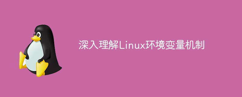 深入理解linux环境变量机制