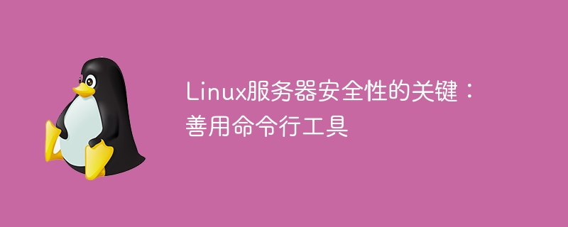 linux服务器安全性的关键：善用命令行工具