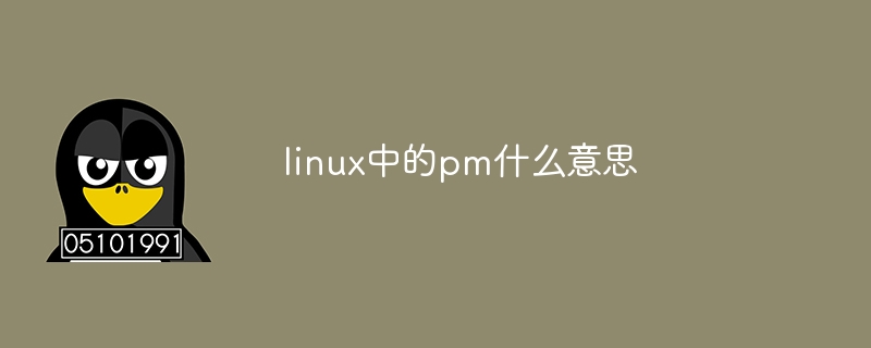 linux中的pm什么意思