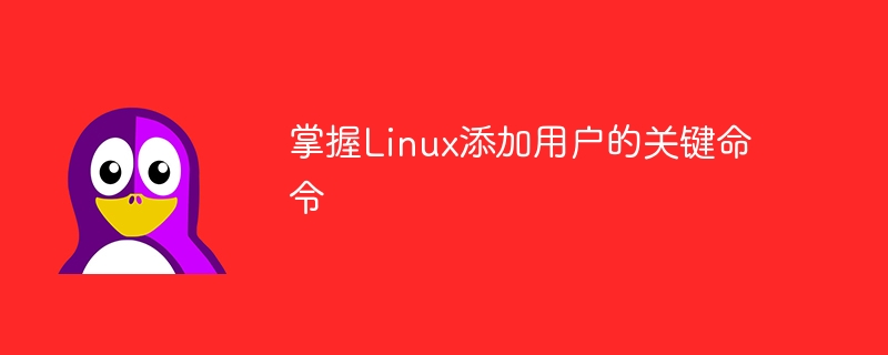 学会Linux添加用户的重要指令