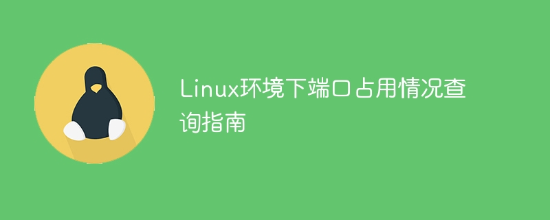 linux环境下端口占用情况查询指南