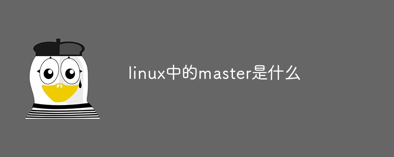 linux中的master是什么