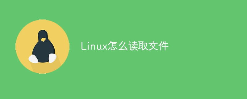 Linux怎么读取文件