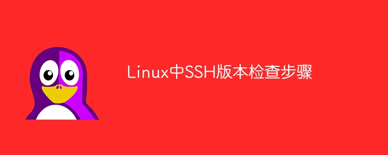 linux中ssh版本检查步骤