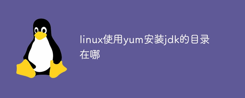 linux使用yum安装jdk的目录在哪