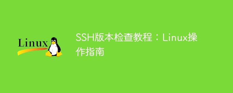 Linux操作指南：SSH版本验证教程