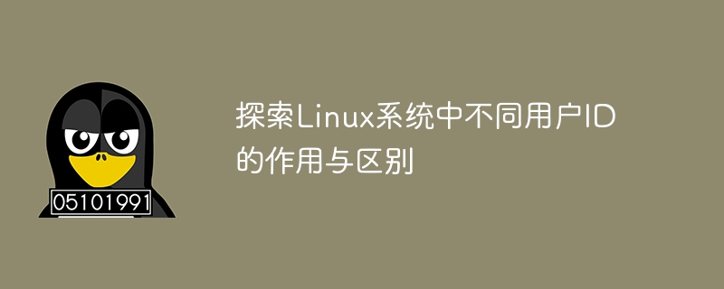 探索Linux系统中不同用户ID的作用与区别