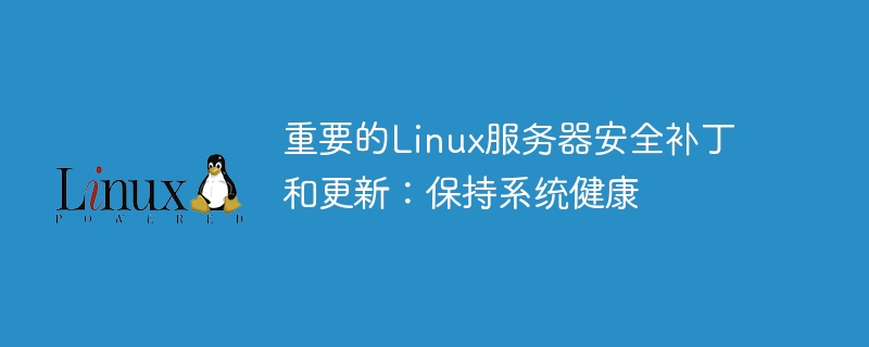 重要的linux服务器安全补丁和更新：保持系统健康