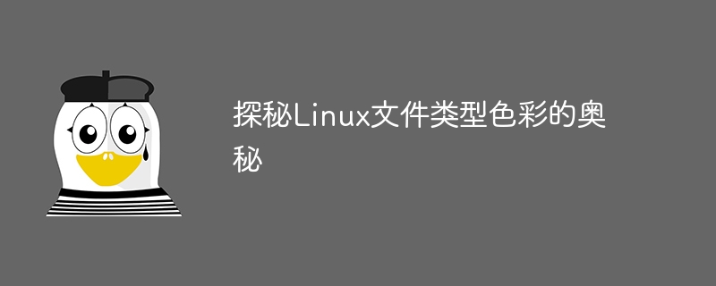 探秘linux文件类型色彩的奥秘