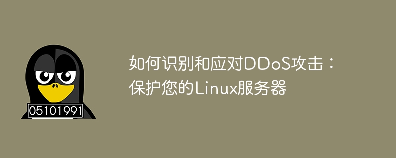 如何识别和应对ddos攻击：保护您的linux服务器