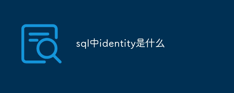 SQL中的identity属性是什么意思？