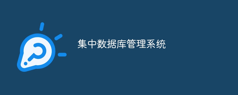 集中数据库管理系统