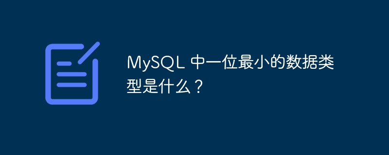 mysql 中一位最小的数据类型是什么?