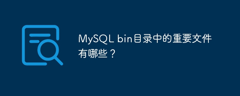 mysql bin目录中的重要文件有哪些?