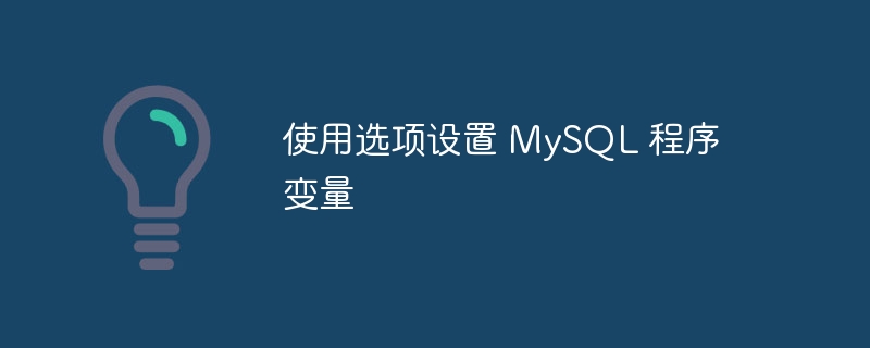 使用选项设置 mysql 程序变量