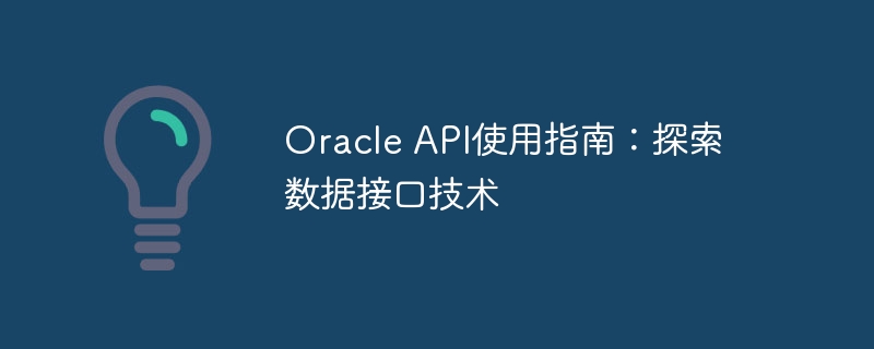 oracle api使用指南:探索数据接口技术