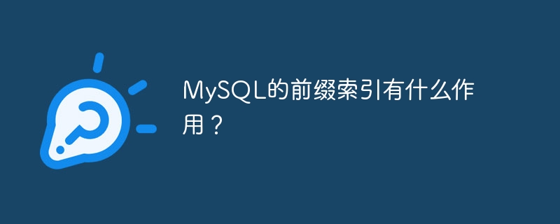 MySQL的前缀索引有什么作用？
