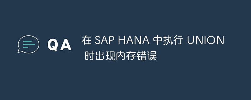 在 sap hana 中执行 union 时出现内存错误