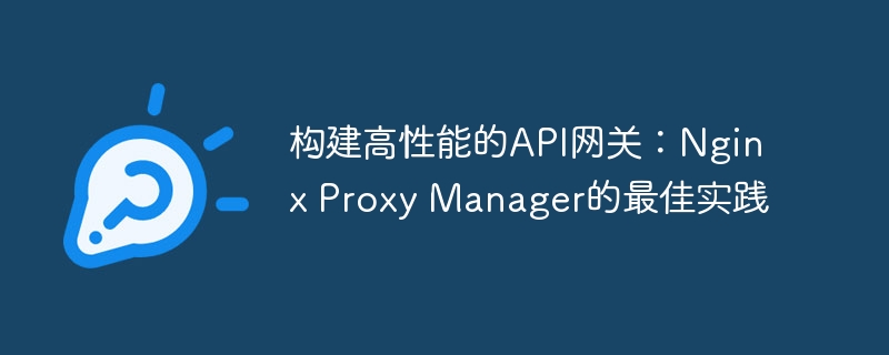 构建高性能的API网关：Nginx Proxy Manager的最佳实践