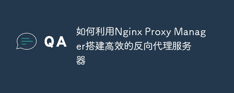 如何利用nginx proxy manager搭建高效的反向代理服务器