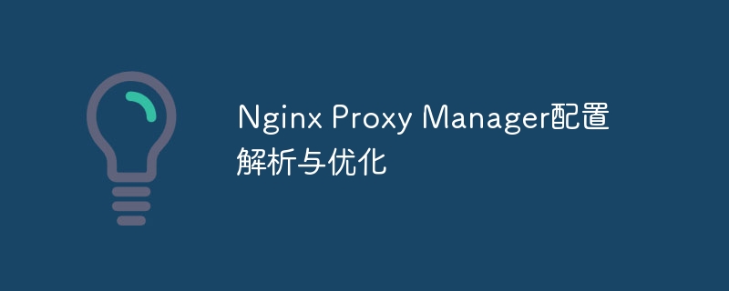 Nginx Proxy Manager配置解析与优化