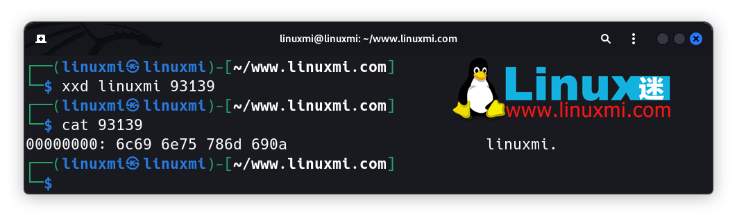 有趣的宝藏！六个独特而惊人的 Linux 实用工具