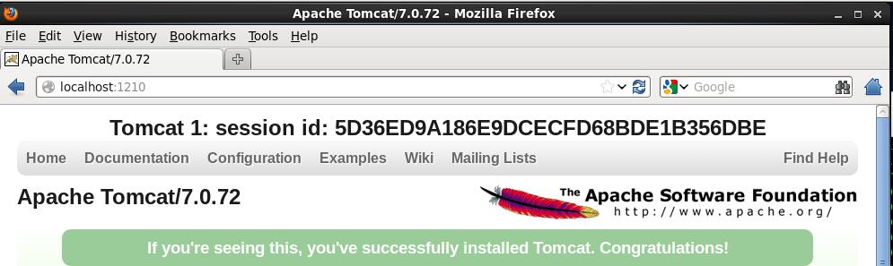 CentOS6.5下Tomcat7 Nginx Redis配置实例分析