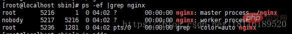 Linux系统如何安装nginx