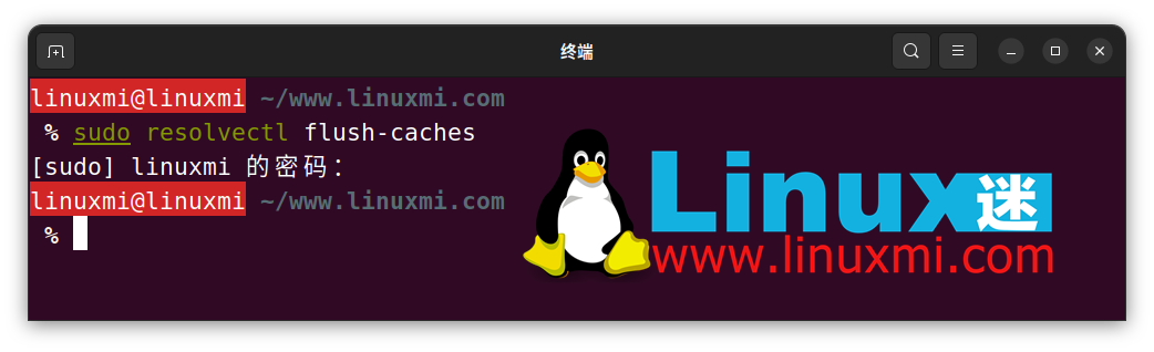 如何在 Linux 上查看和刷新 DNS 缓存