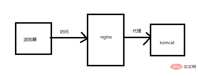 Nginx超简单教程，入门看这篇就够了