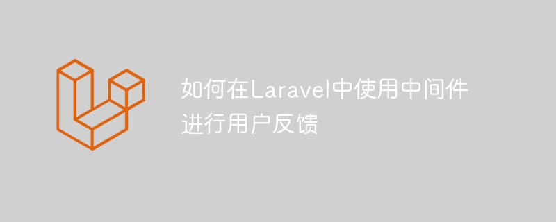 如何在laravel中使用中间件进行用户反馈