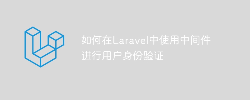 如何在laravel中使用中间件进行用户身份验证