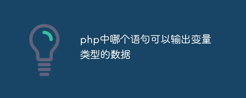 php中哪个语句可以输出变量类型的数据