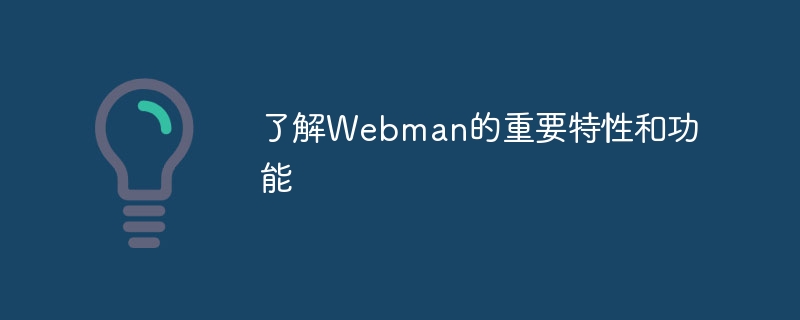 了解Webman的重要特性和功能