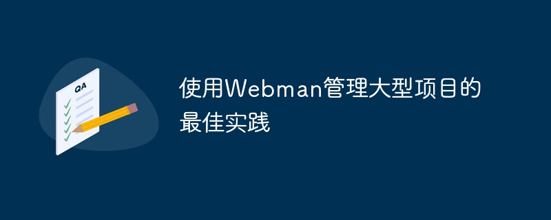 使用webman管理大型项目的最佳实践