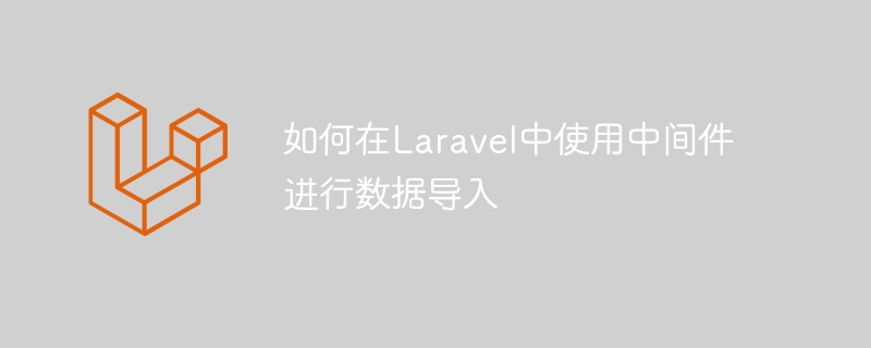 如何在laravel中使用中间件进行数据导入
