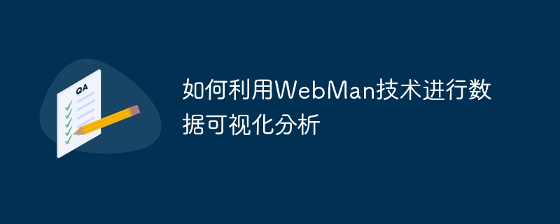 如何利用webman技术进行数据可视化分析