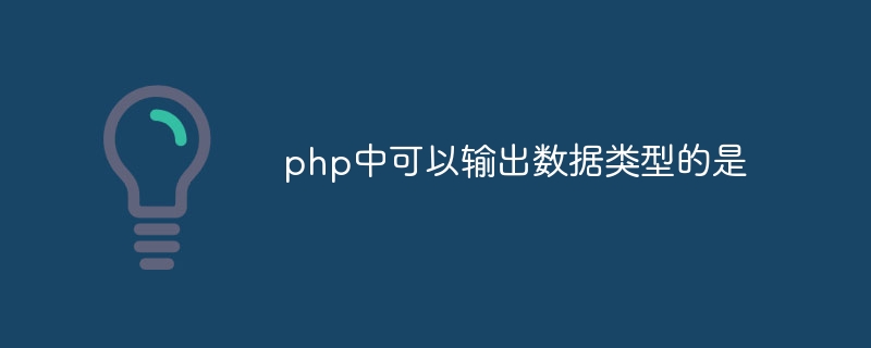 php中可以输出数据类型的是