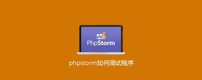 phpstorm如何调试程序