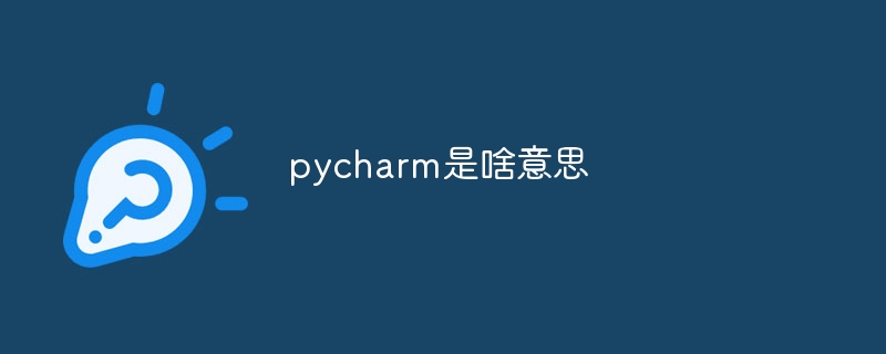 pycharm是啥意思