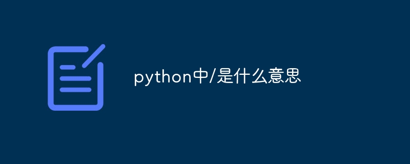 python中/是什么意思