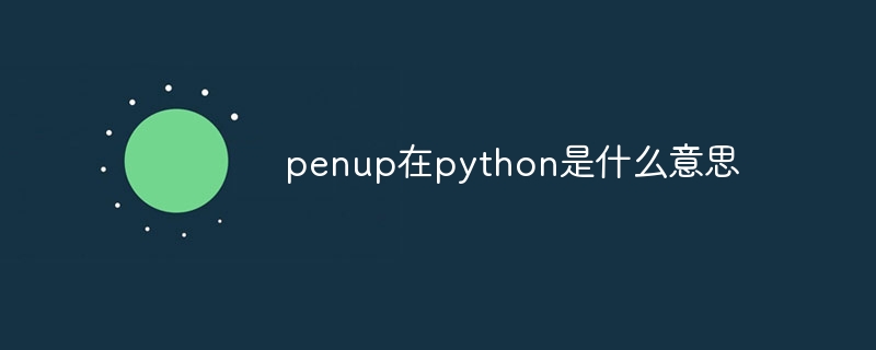 penup在python是什么意思