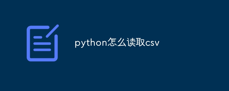 python怎么读取csv