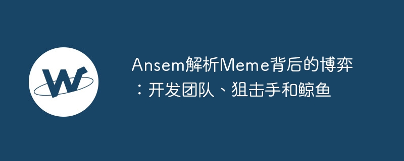 Ansem解析Meme背后的博弈：开发团队、狙击手和鲸鱼