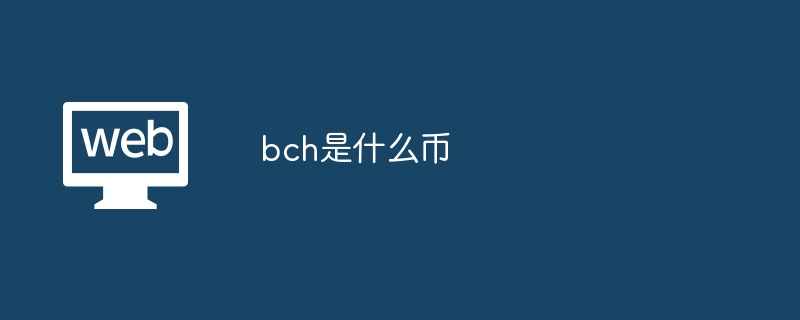 bch是什么币