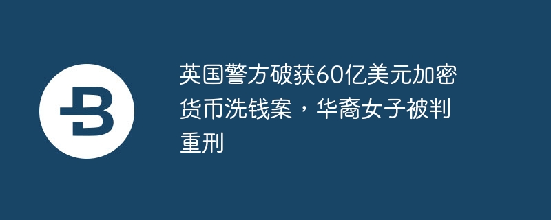 英国警方破获60亿美元加密货币洗钱案，华裔女子被判重刑