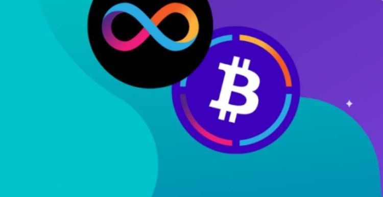 ICP和DOT币哪个潜力大？ICP和DOT币区别是什么？