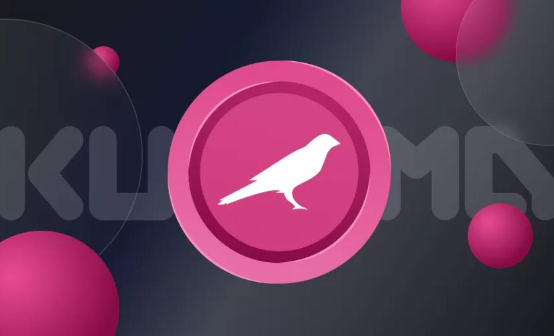 ksm币中文叫什么