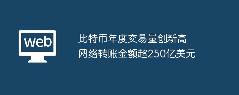 比特币年度交易量创新高　网络转账金额超250亿美元