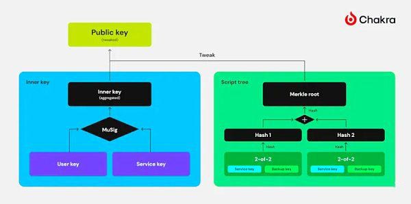 一文读懂比特币原生可扩展性方案SegWit和Taproot